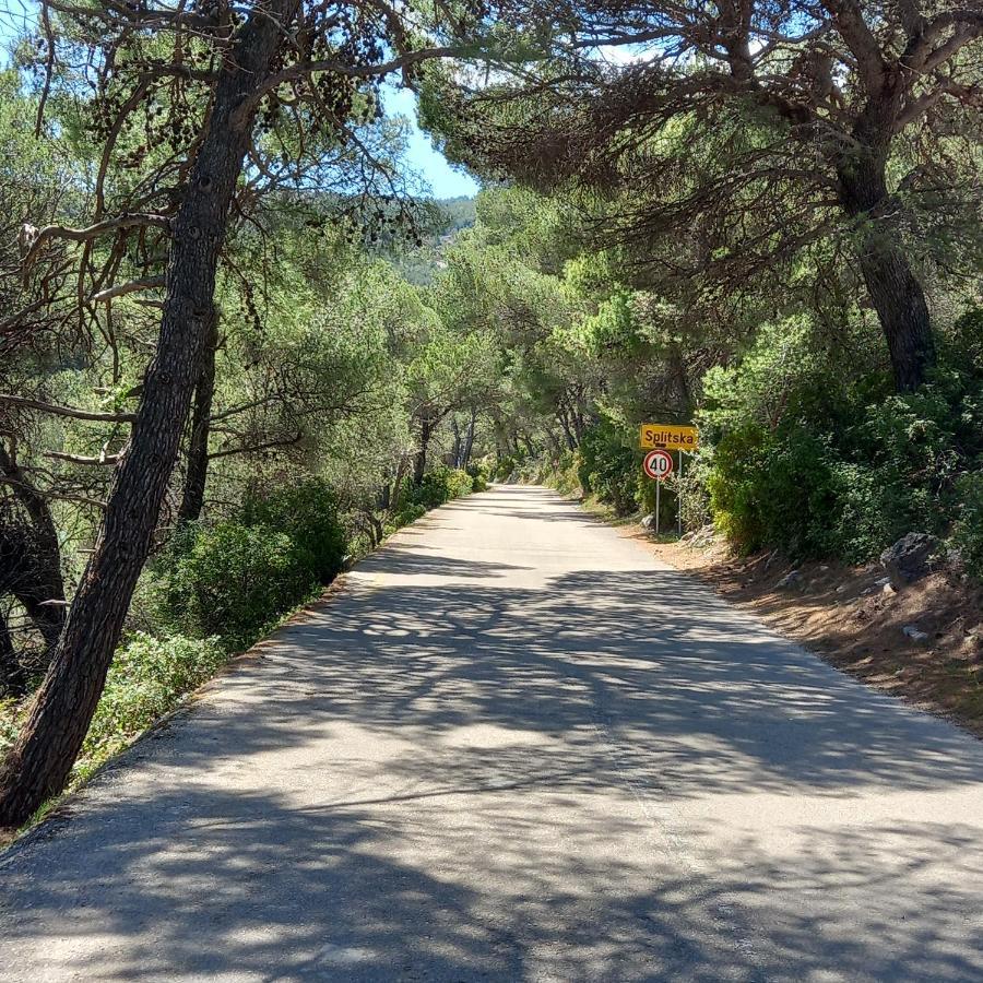 Kuca Za Odmor Skalina - Sea View Villa Splitska Eksteriør bilde