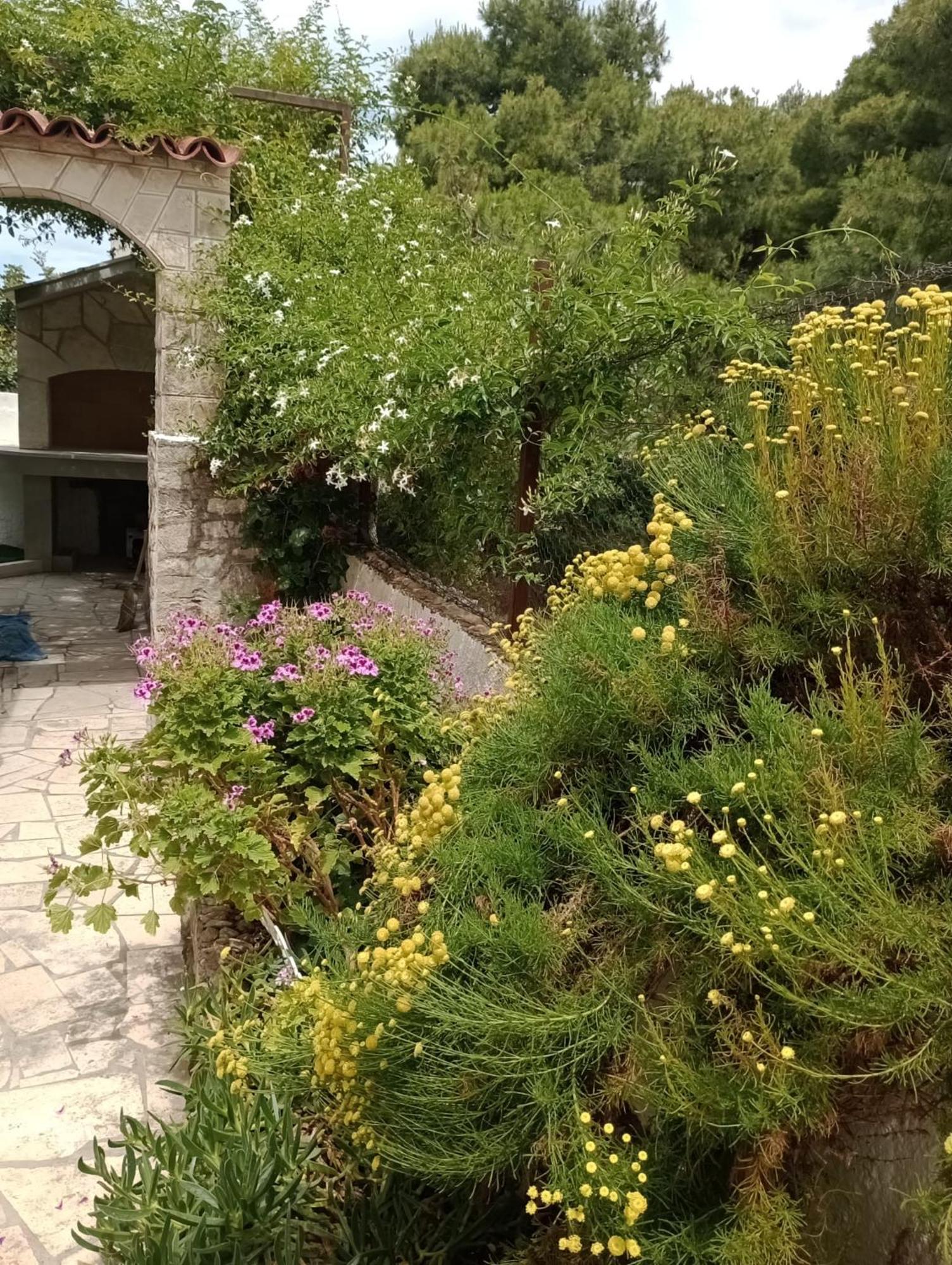 Kuca Za Odmor Skalina - Sea View Villa Splitska Rom bilde